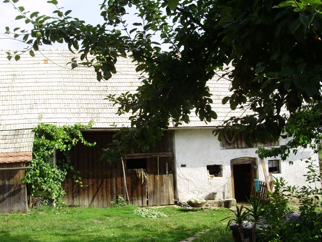 P1010209.jpg