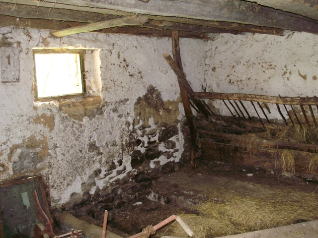 P1010264.jpg