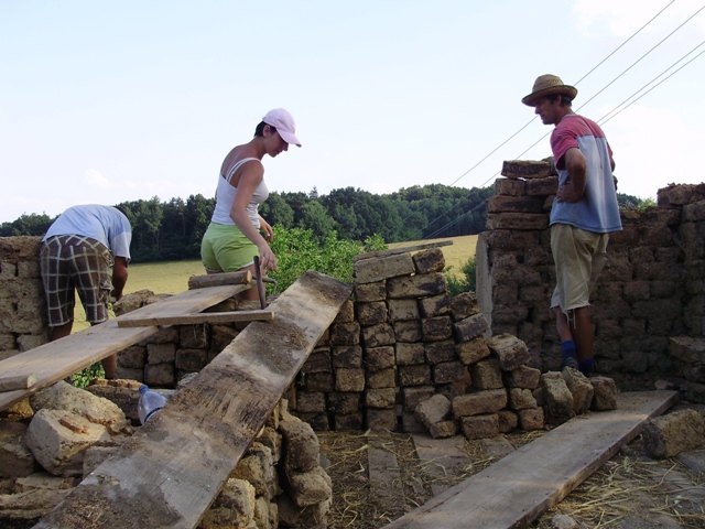P1010278.jpg