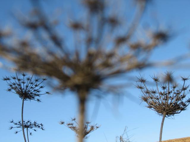 fotky 090