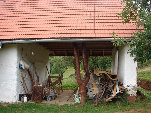 DSC02213