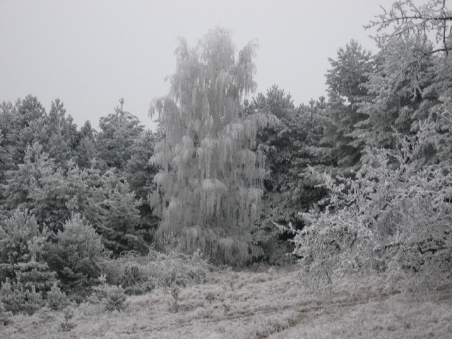 Obrázok 065.jpg
