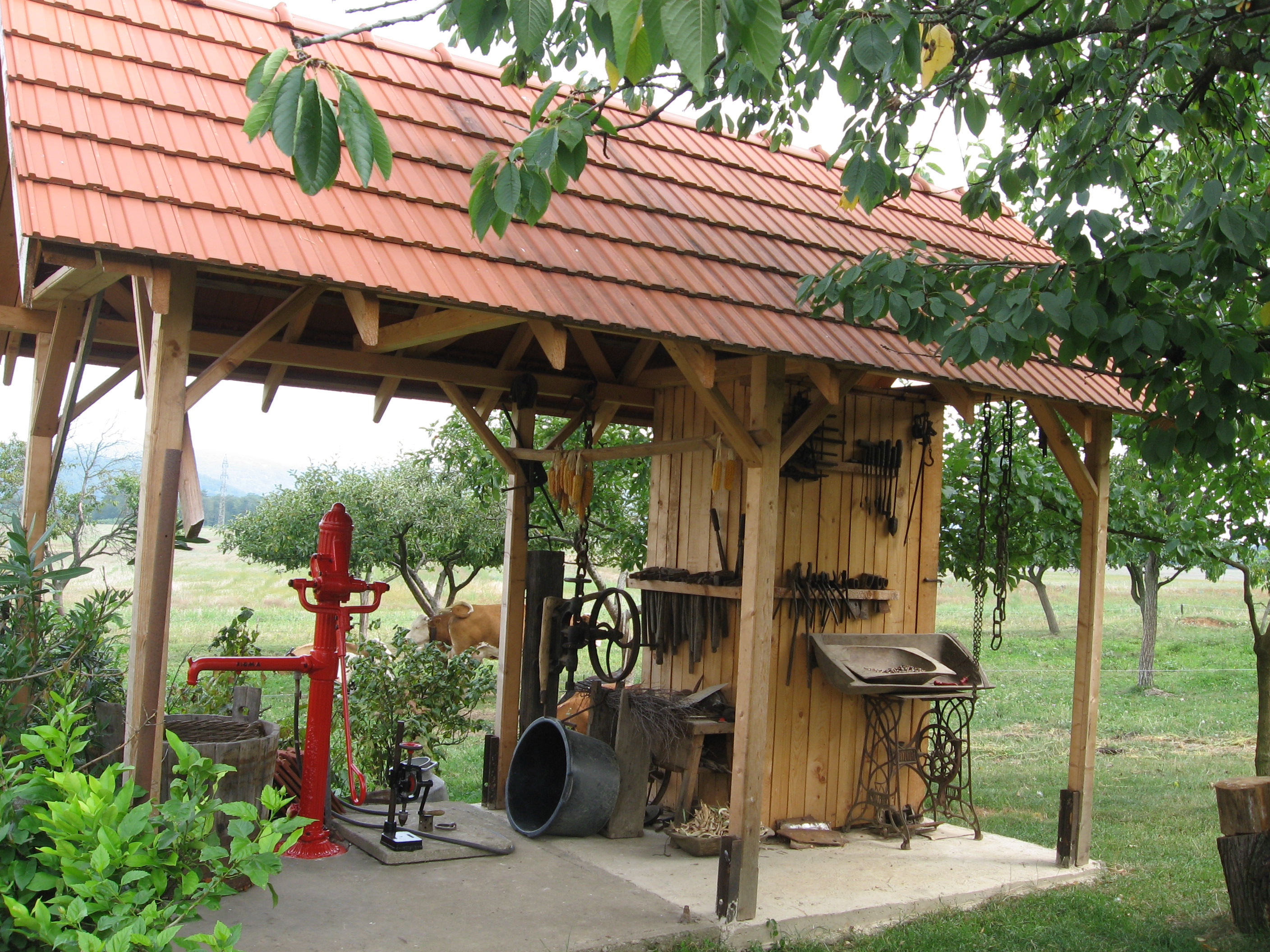 DCIM 006.jpg